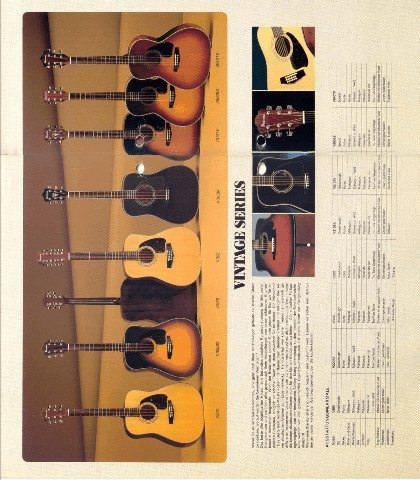 Ibanez Guitars Catalogue 1984 Acoustic Guitars / Ibanez Catálogo 1984 Acoustic Guitars